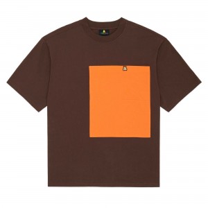 Brown Teddy Fresh Big Pocket Tee | WDALIV513