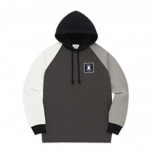 Grey Teddy Fresh Color Block Hoodie 2.0 | GHKXTW189