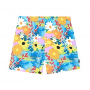 Multi Teddy Fresh TF x Celia Landreth Shorts | QBZLXM410