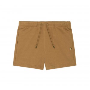 Nutmeg Teddy Fresh Classic Fleece Mid-Thigh Shorts 4" | DSBFYP315