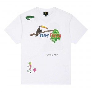 White Teddy Fresh Iguana Tee | EJFTLC412