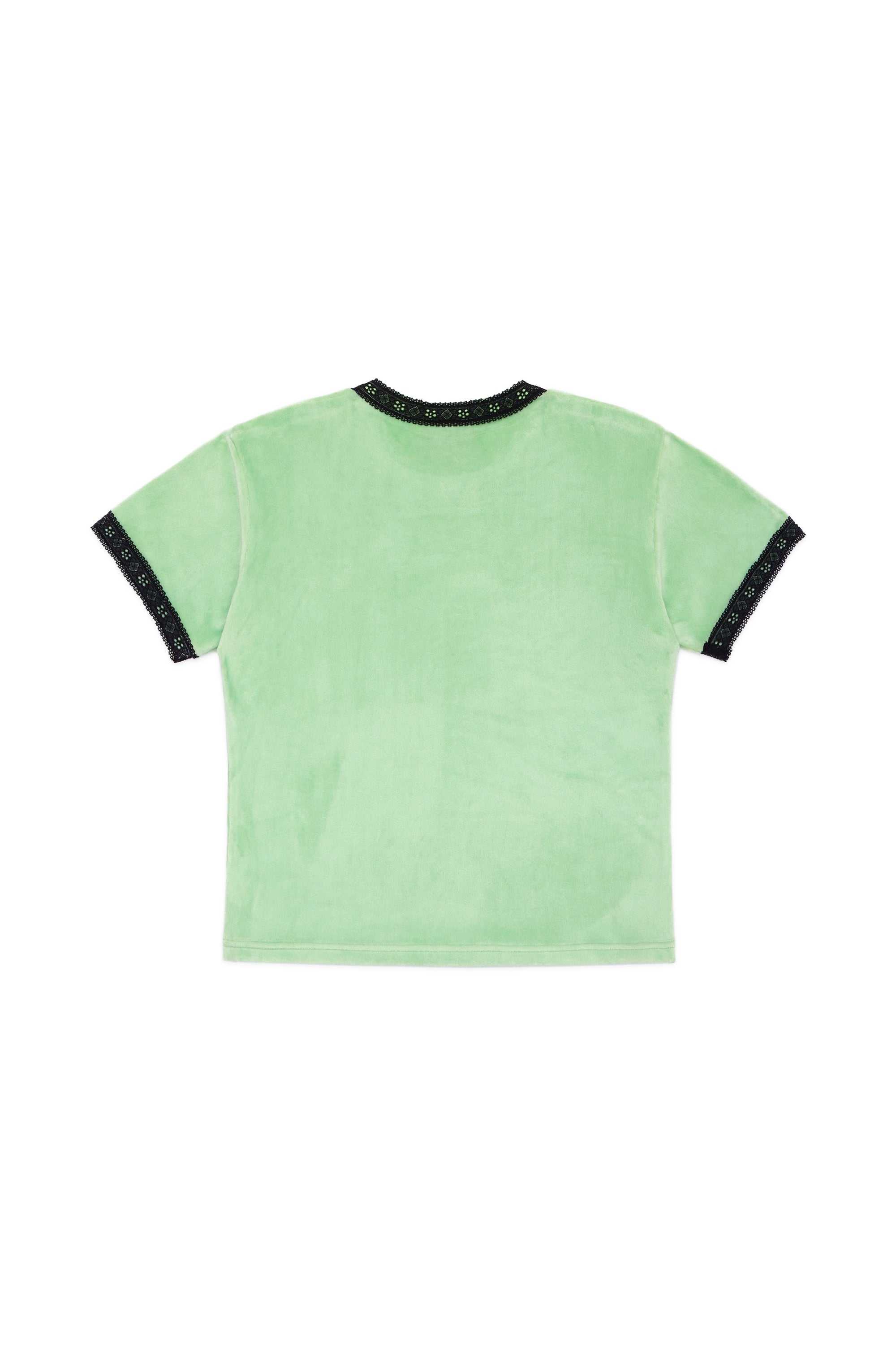 Mint Teddy Fresh Mint Velour Tee | YFIQNT378