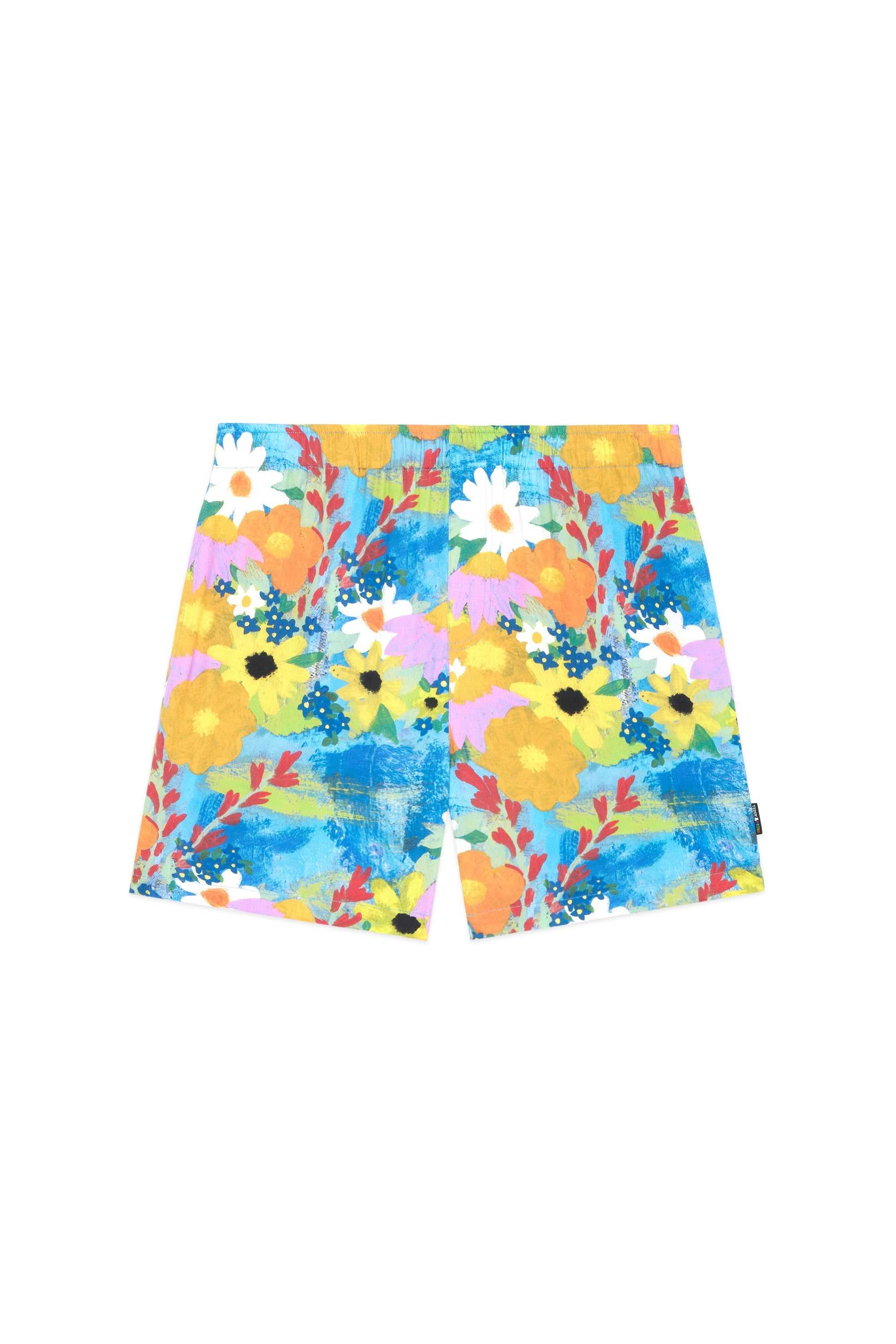 Multi Teddy Fresh TF x Celia Landreth Shorts | QBZLXM410