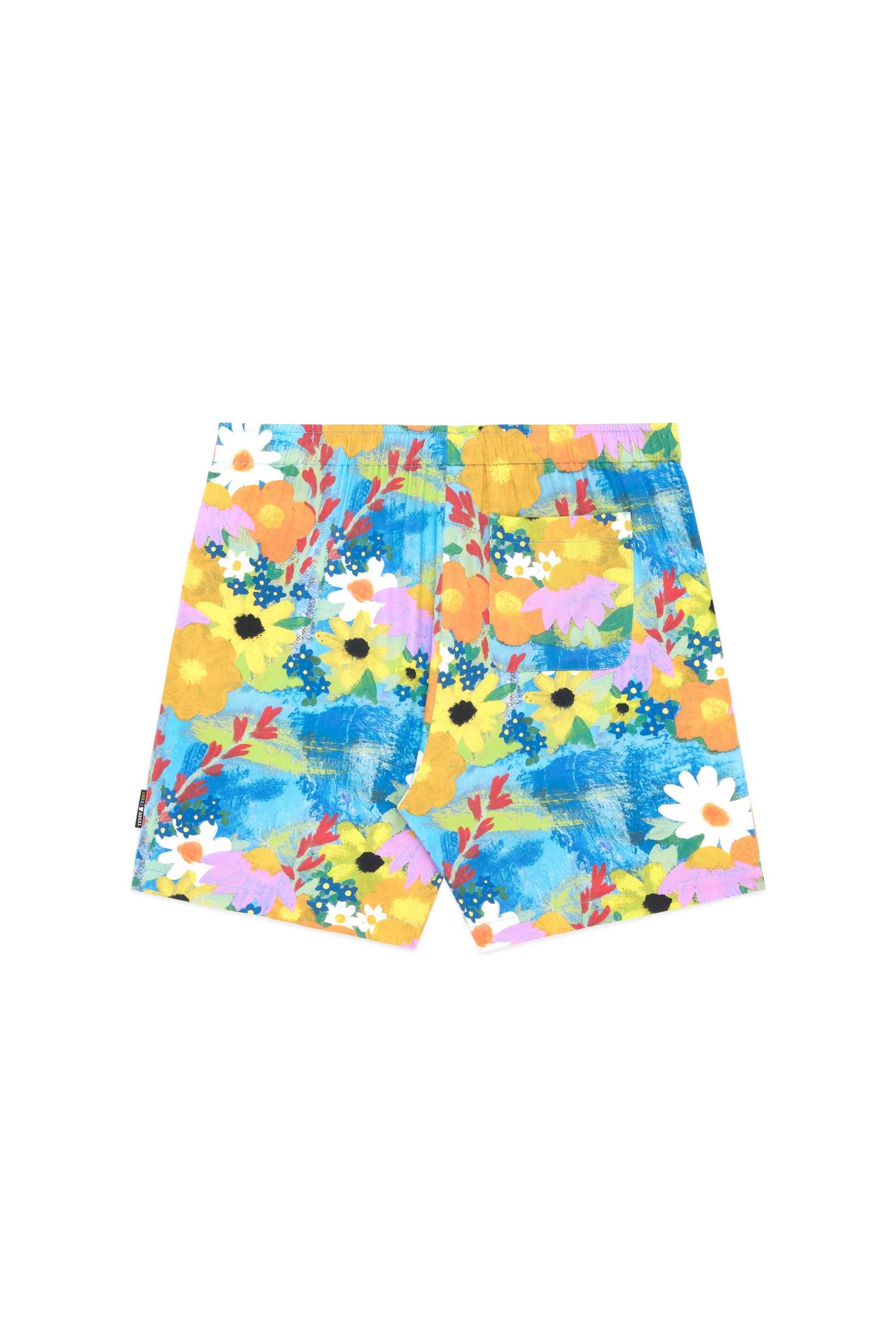 Multi Teddy Fresh TF x Celia Landreth Shorts | QBZLXM410